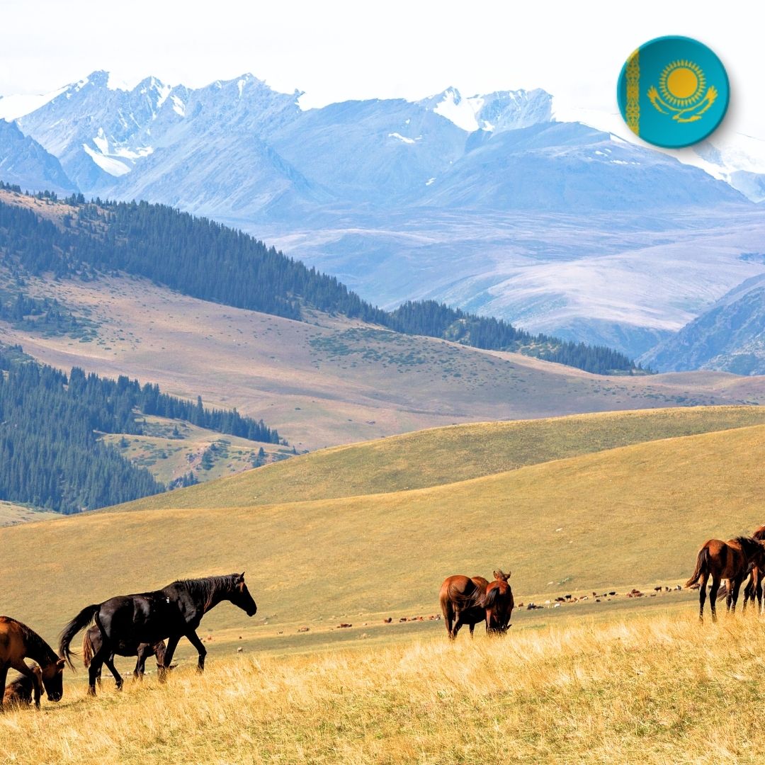 eSIM Kazakhstan 30 Ngày Data Tốc Độ Cao